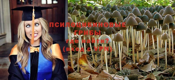 альфа пвп Верхний Тагил