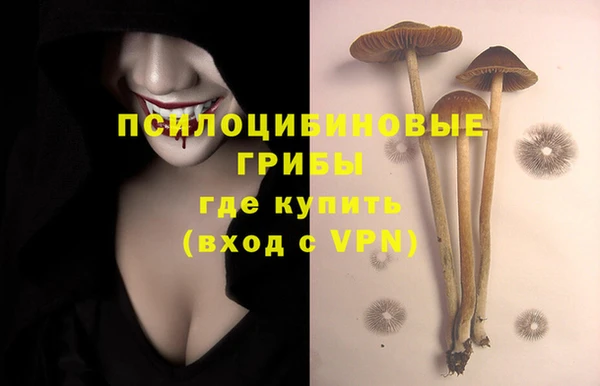 ECSTASY Волосово