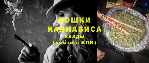 PSILOCYBIN Верея