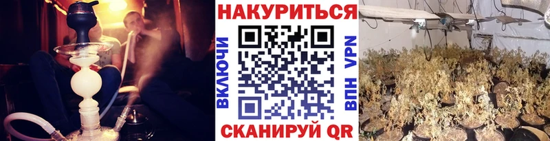 kraken как зайти  что такое наркотик  Вытегра  Конопля планчик 